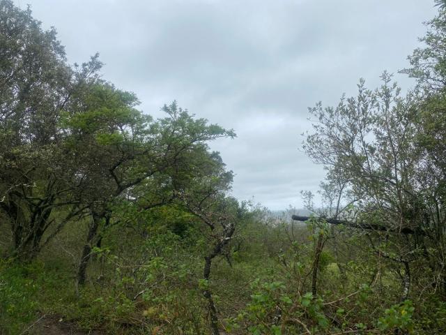 Farm for sale in Eastern Cape