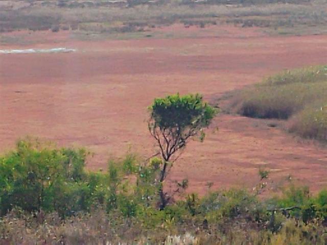 Farm for sale in Western Cape