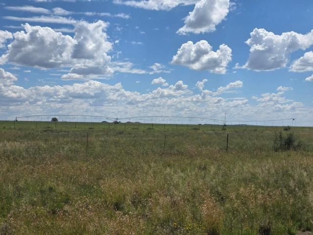 Farm for sale in Xhariep District Municipality, Free State