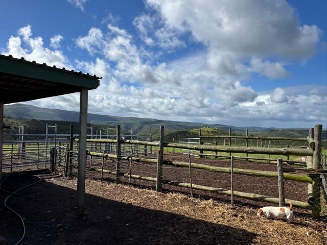 Farm for sale in Eastern Cape