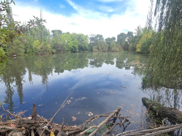 Farm for sale in Bloemfontein, Free State
