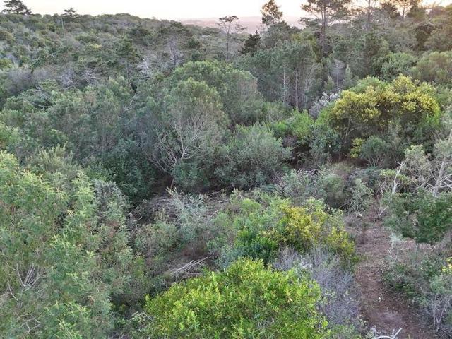 Farm for sale in Groot Brak Rivier, Western Cape