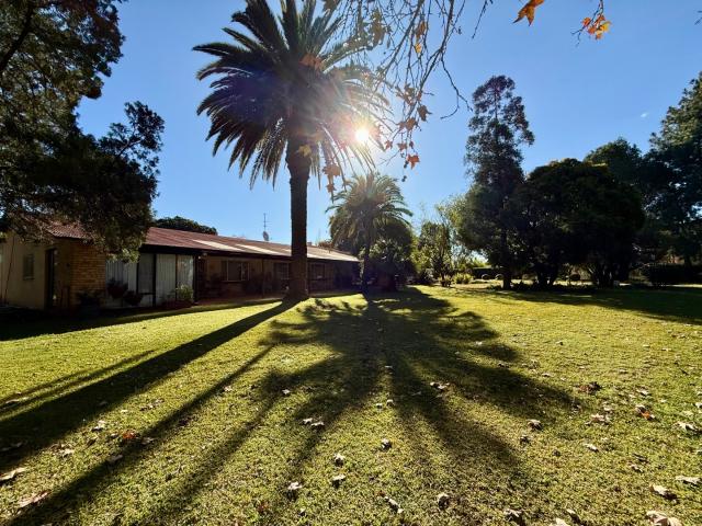 Farm for sale in Knopjeslaagte, Gauteng