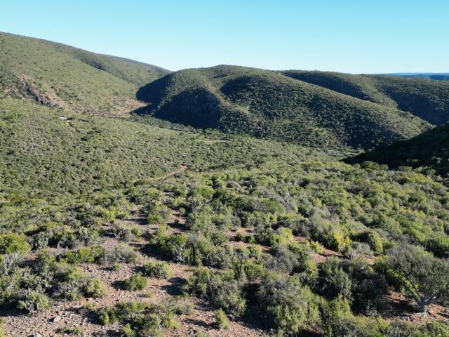 Farm for sale in Eastern Cape