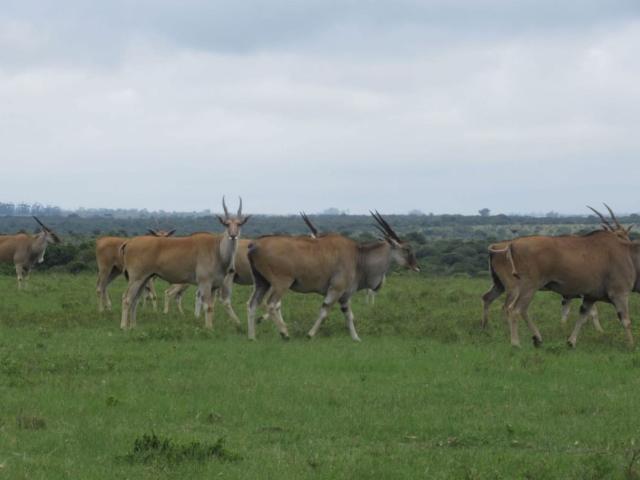 Farm for sale in Eastern Cape