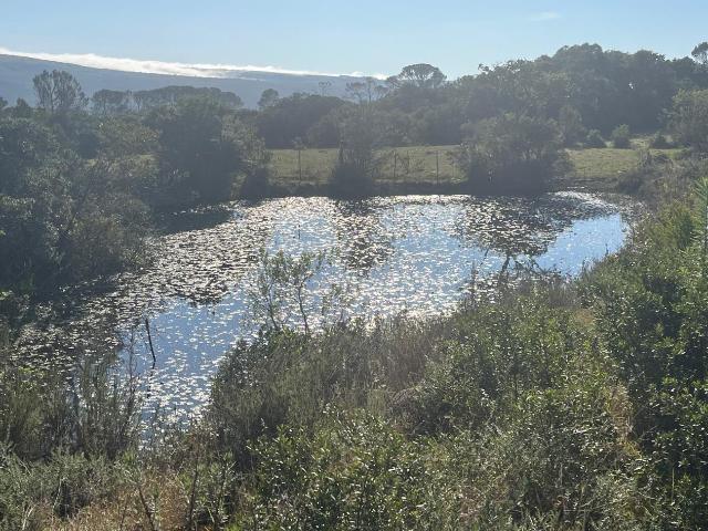 Farm for sale in Bushmans River Mouth, Eastern Cape