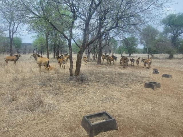 Farm for sale in Mopani, Limpopo