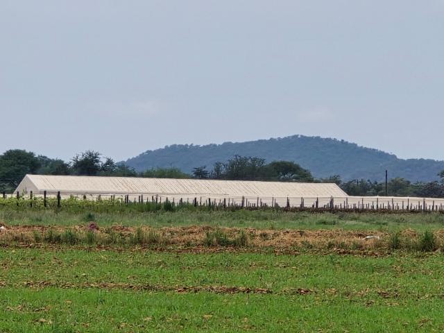 Farm for sale in Groblersdal, Limpopo
