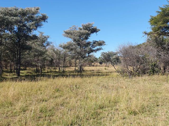 Farm for sale in Limpopo