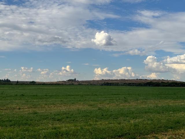 Farm for sale in Frances Baard, Northern Cape