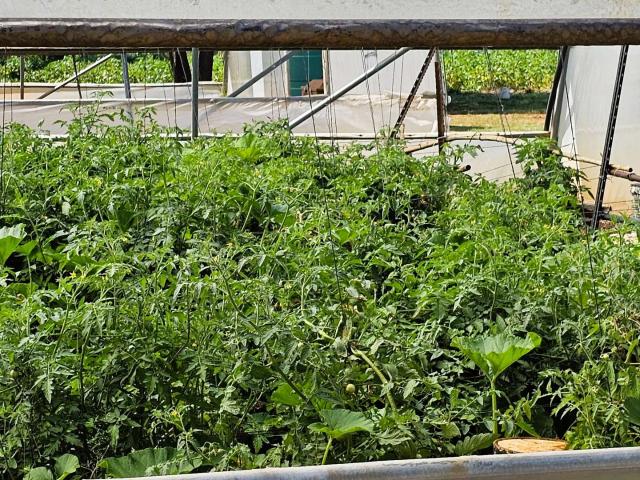 Farm for sale in Kagiso, Gauteng