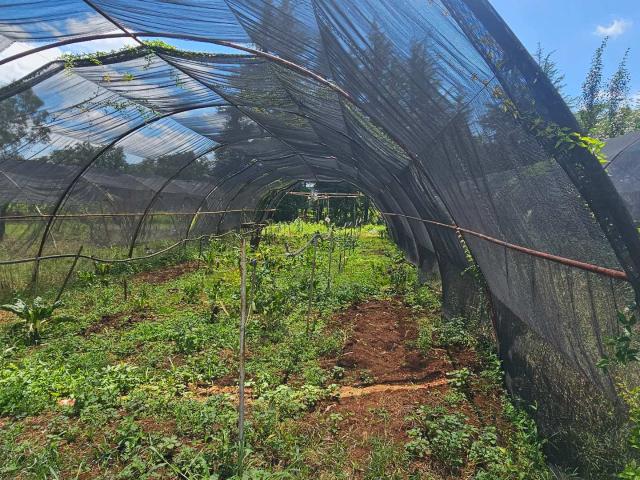 Farm for sale in Kagiso, Gauteng