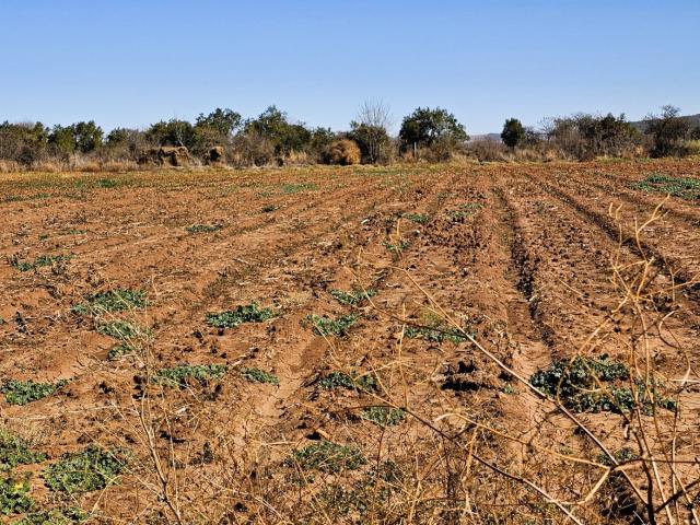 Farm for sale in Kagiso, Gauteng
