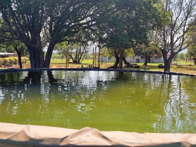 Farm for sale in Kagiso, Gauteng