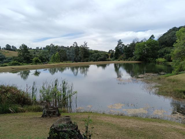 Farm for sale in Umgungundlovu, Kwazulu-natal