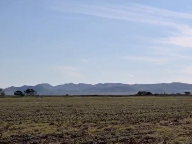 Farm for sale in Cape St Francis, Eastern Cape