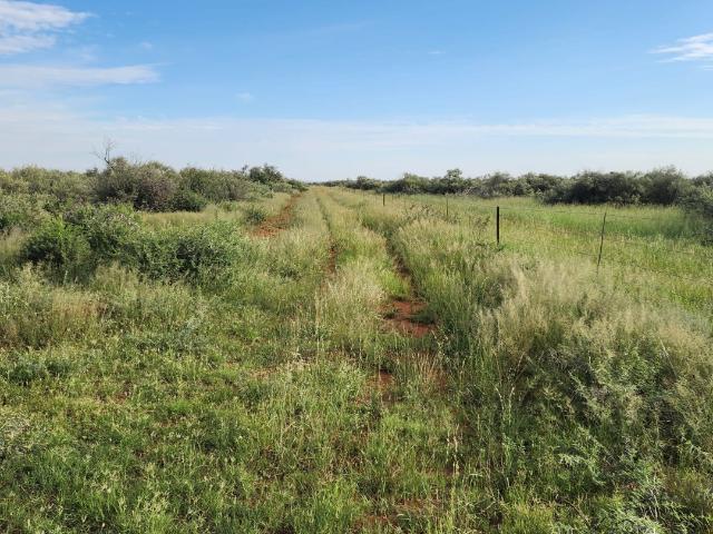 Farm for sale in Frances Baard, Northern Cape