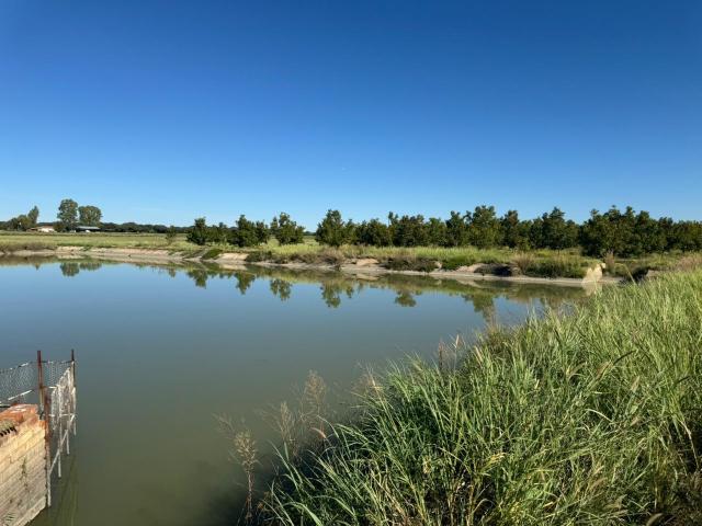 Farm for sale in Frances Baard, Northern Cape