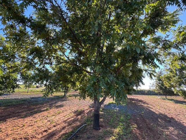 Farm for sale in Frances Baard, Northern Cape