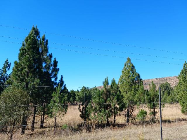 Farm for sale in Gauteng