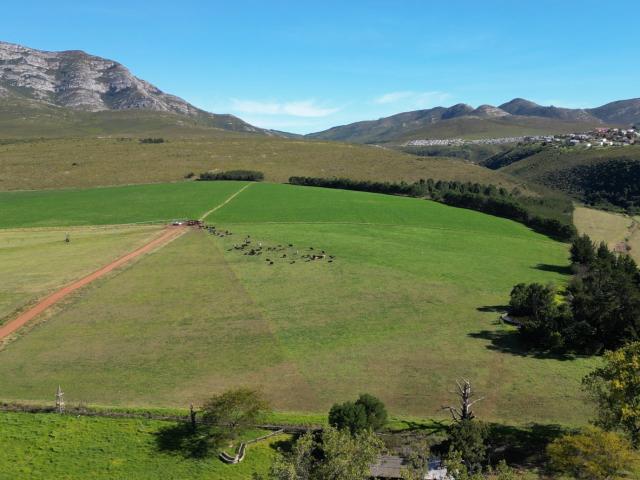 Farm for sale in Kareedouw, Eastern Cape