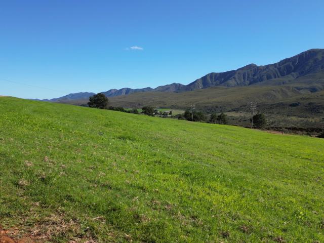 Farm for sale in Kareedouw, Eastern Cape