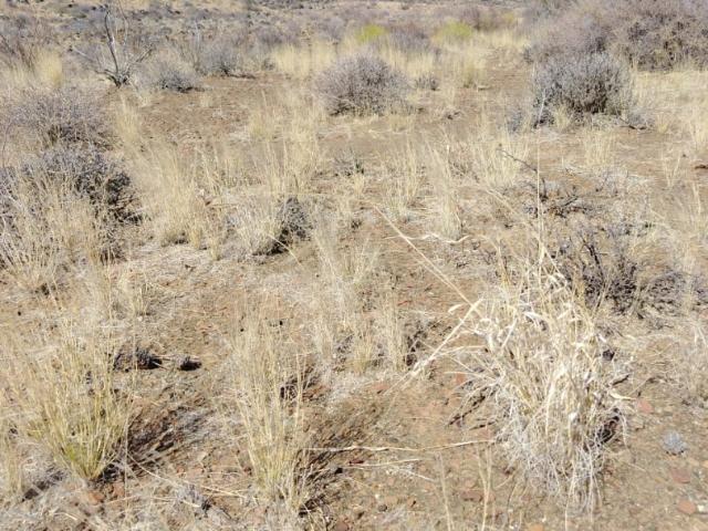Farm for sale in Kai Garib, Northern Cape