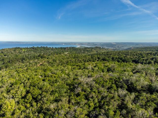 Farm for sale in Groot Brak Rivier, Western Cape