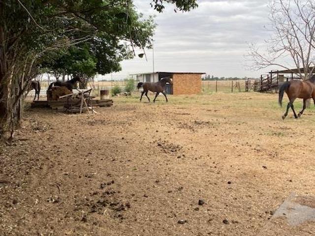 Farm for sale in Dr Kenneth Kaunda, North West