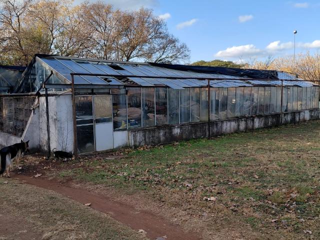 Farm for sale in Knopjeslaagte, Gauteng