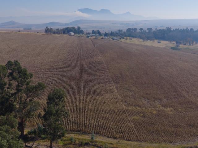 Farm for sale in Kwazulu-natal