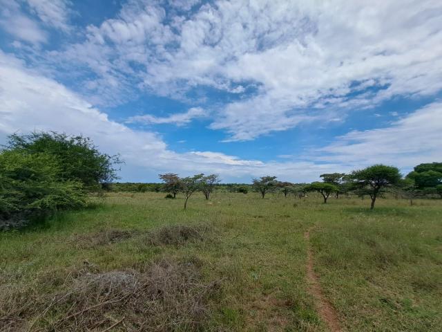 Farm for sale in Limpopo