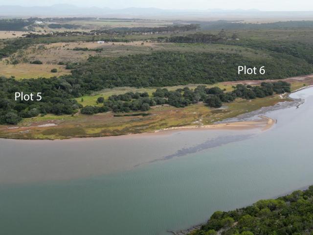 Farm for sale in Cape St Francis, Eastern Cape