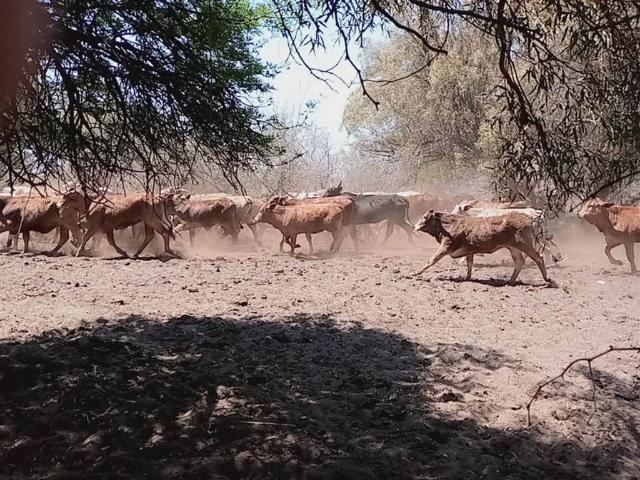 Property for sale in Ditsobotla, North West