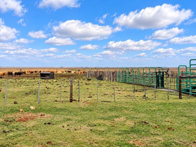Farm for sale in Ditsobotla, North West