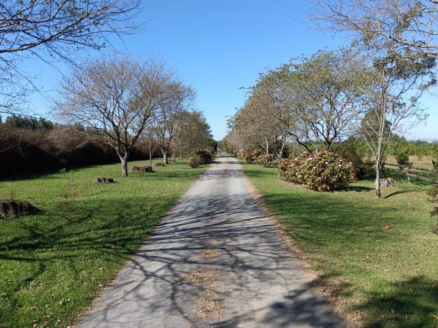 Farm for sale in Umgungundlovu, Kwazulu-natal