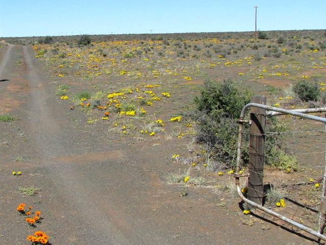 Property for sale in Hantam, Northern Cape