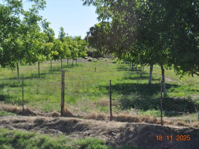 Farm for sale in Upington, Northern Cape