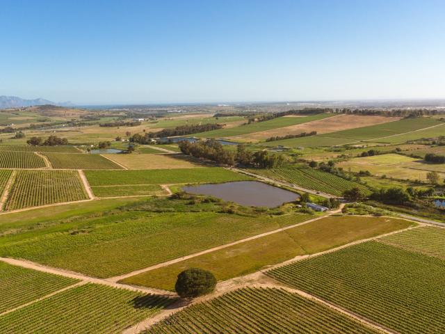 Farm for sale in Pniel, Western Cape
