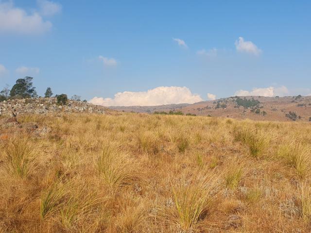 Farm for sale in Mpumalanga