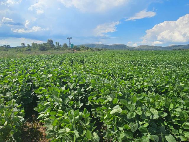 Farm for sale in Tlhabane, North West