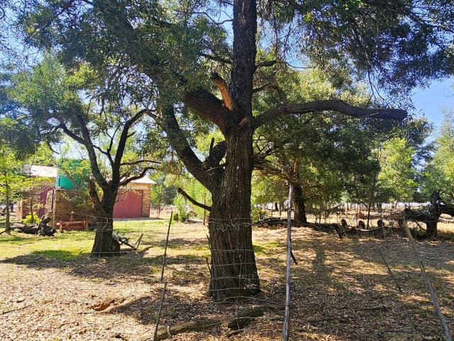 Farm for sale in Kagiso, Gauteng