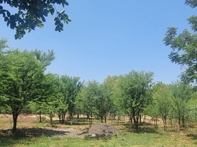 Farm for sale in Tlhabane, North West
