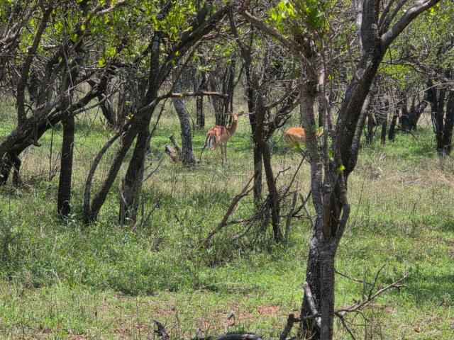 Farm for sale in Hartbeespoort Dam Nature Reserve, North West