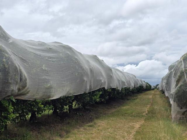 Farm for sale in Limpopo