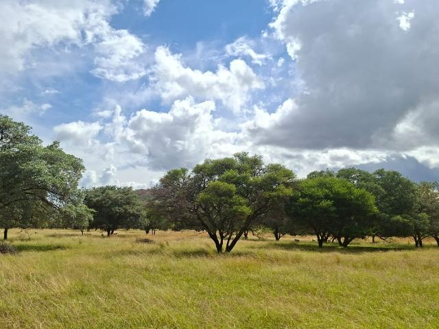Farm for sale in Potgietersrus, Limpopo