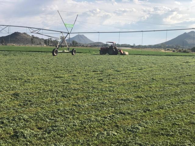 Farm for sale in Eastern Cape