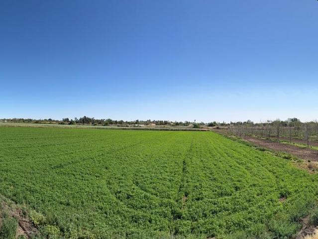 Farm for sale in Upington, Northern Cape