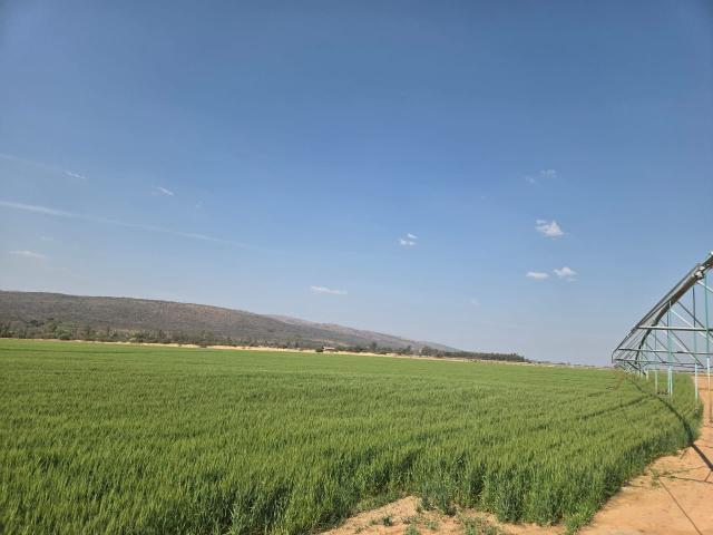 Farm for sale in Nylstroom, Limpopo