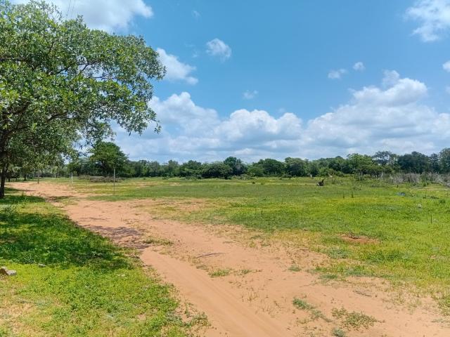 Farm for sale in Nylstroom, Limpopo